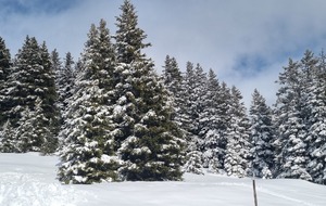 Chamrousse - Le Mercredi 11/02/2026