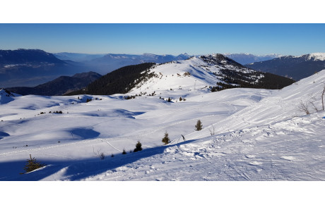 Arrivée du 26/01/2022 - Prévue à 18h35