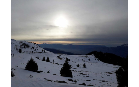 Arrivée du 21/02/2024 -  Prévue à 18h30 à  Varces 