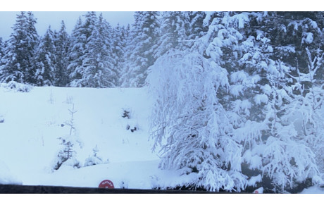 Arrivée du bus ce vendredi 13 février a 19h